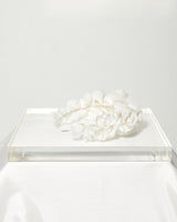White Rose Taç